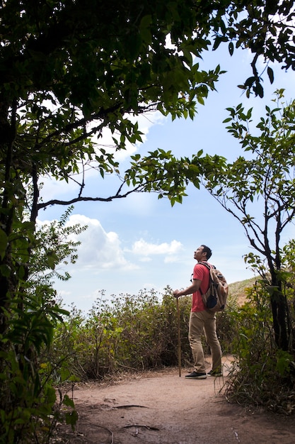 Free photo backpacker looking up to sky