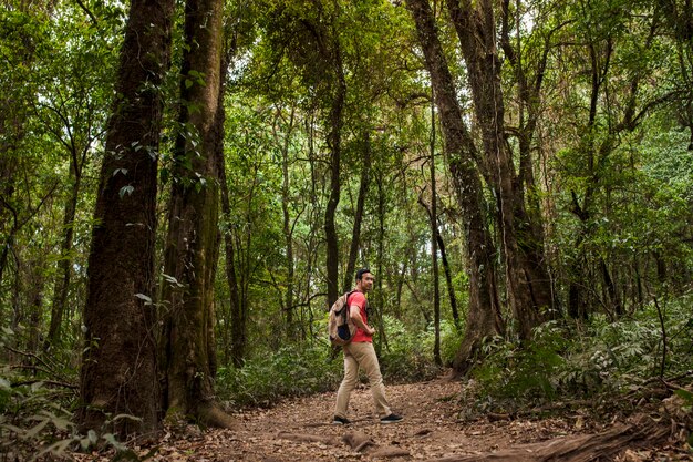 Backpacker on path in jungle