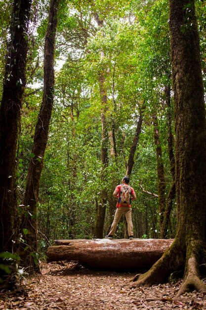 Backpacker, стоя на стволе дерева в лесу