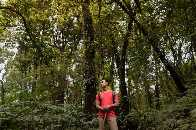 Backpacker standing in wild forest