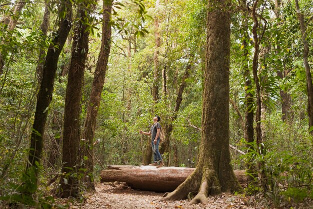 Backpacker on tree trunk