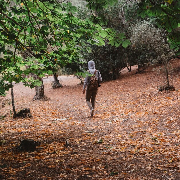 Backpacker walking in autumn forest