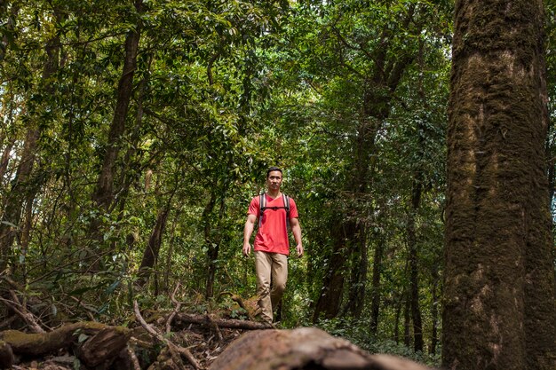 Backpacker in wild forest