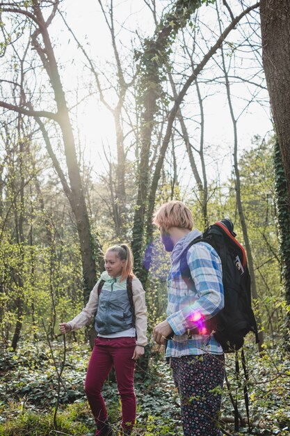 Backpackers in forest