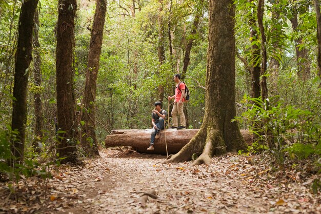 Backpackers on tree trunk