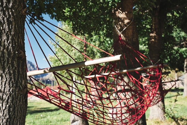 Backyard with hammock for relaxing selective focus outdoor recreation idea for advertising or background