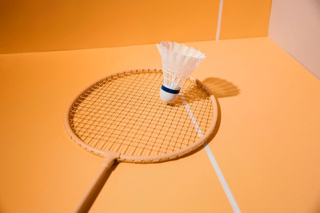 Badminton racket and shuttlecock assortment