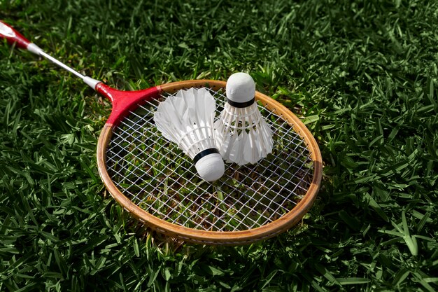 Badminton shuttlecocks and racket on grass