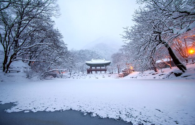 Храм Пэкянса и падающий снег, гора Нэчжансан зимой со снегом, знаменитая гора в Корее. Зимний пейзаж