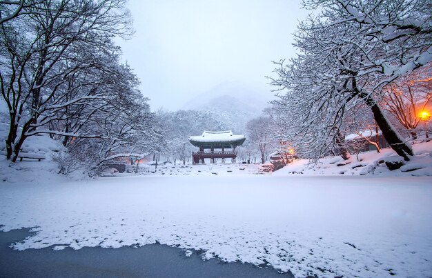 白羊寺と降雪、冬の内蔵山、雪、韓国の有名な山。冬の風景