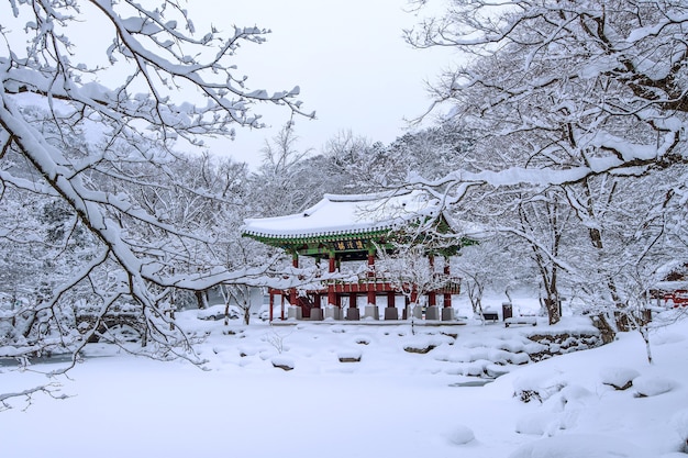 Baekyangsa temple 