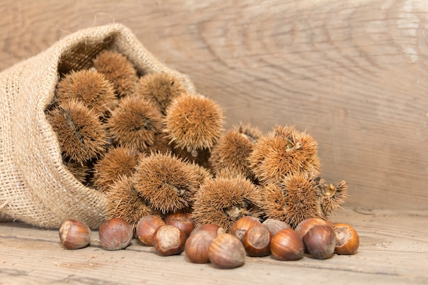 Bag that spills chestnuts and hazelnuts on rustic wood