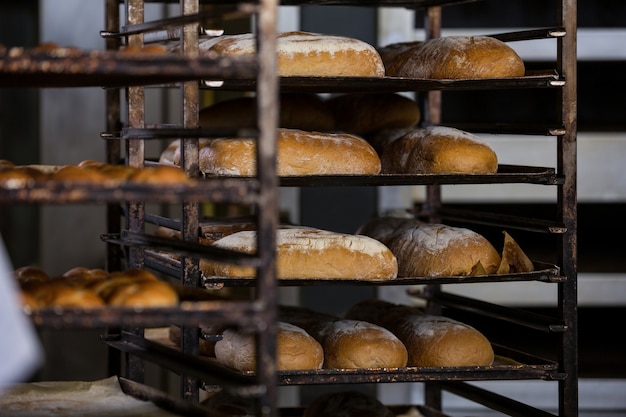 Baked breads and buns kept in shelf