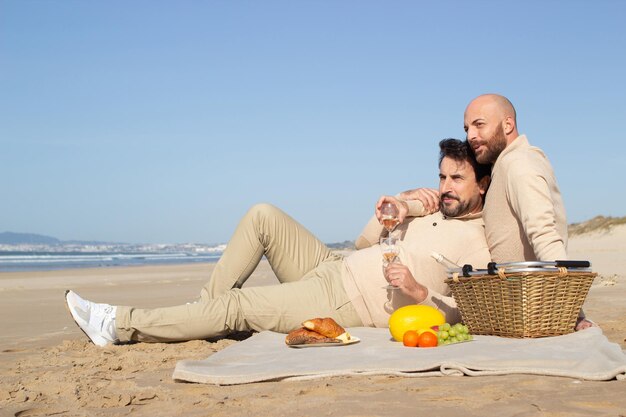 Лысый мужчина пьет шампанское с парнем на пляжном пикнике. Красивая бородатая гей-пара сидит на одеяле и разговаривает на свидании. Романтическая концепция