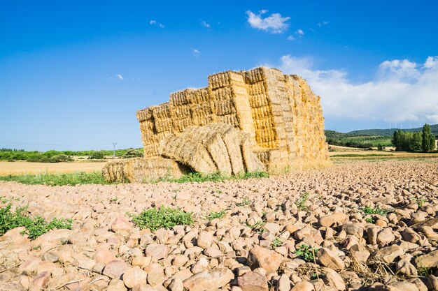 Bales of straw in La Rioja, Spain