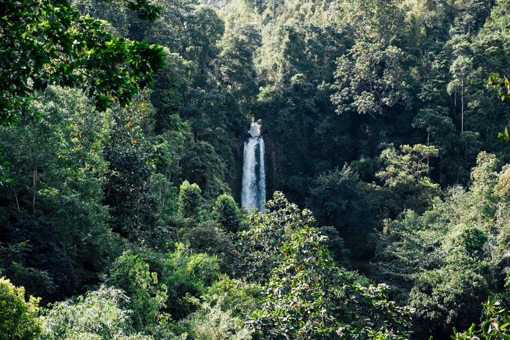 Free Photo bali waterfall, indonesia