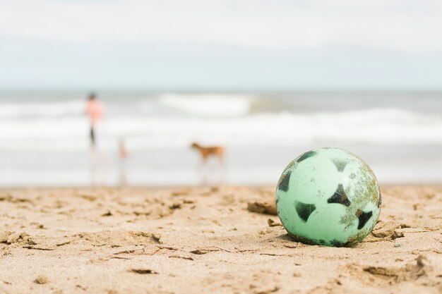 Ball on sand coast and person with dog near water 