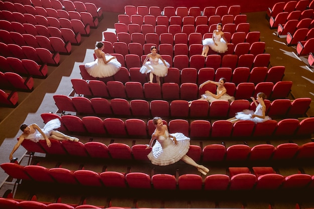 Free photo ballerinas sitting in the empty auditorium theater