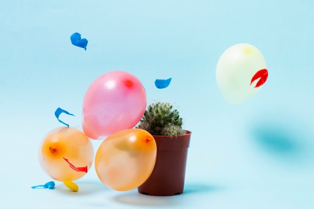 Balloons and cactus on blue background
