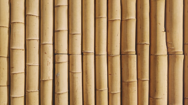Free photo bamboo background texture