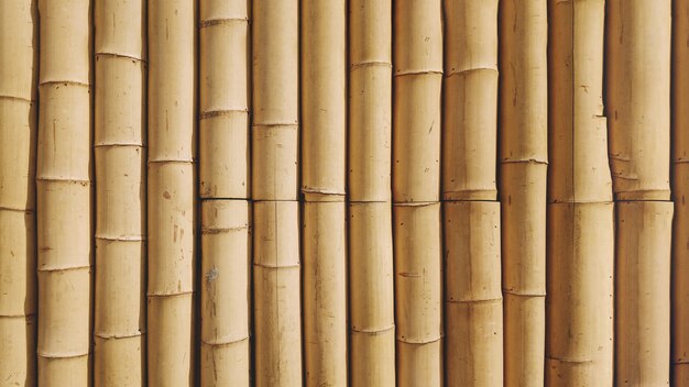 Bamboo background texture