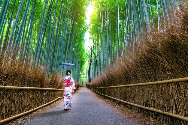 竹林。日本の京都の竹林で日本の伝統的な着物を着ているアジアの女性。