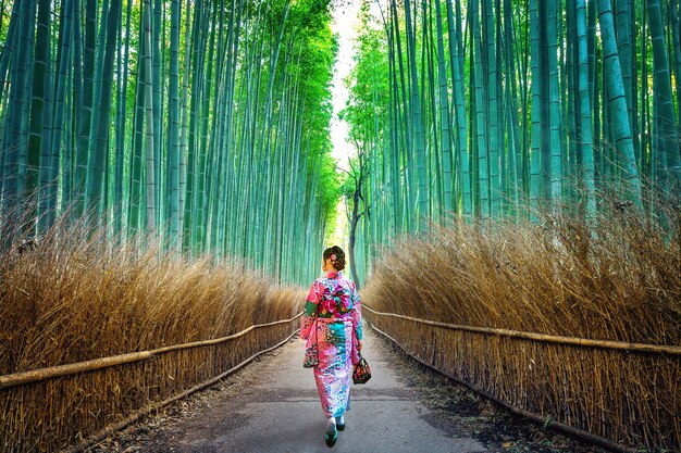 竹林。日本の京都の竹林で日本の伝統的な着物を着ているアジアの女性。