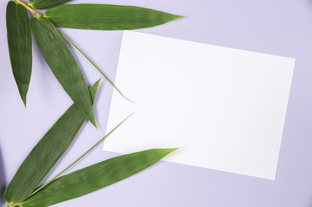 Free photo bamboo leaf with blank white card