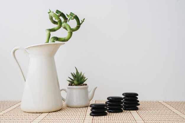 Bamboo plants and piles of volcanic stones