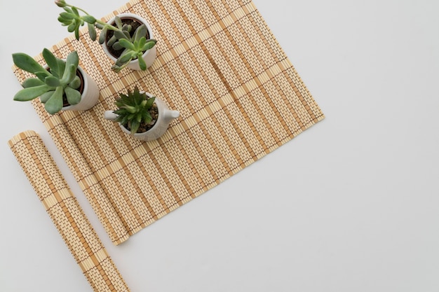 Bamboo table runner with three plants