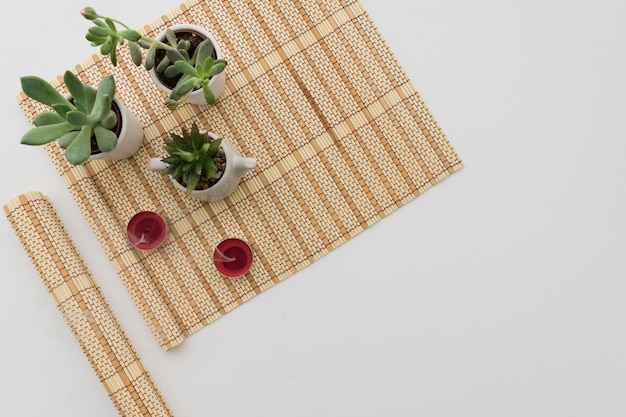 Bamboo table runner with tree plants and candles