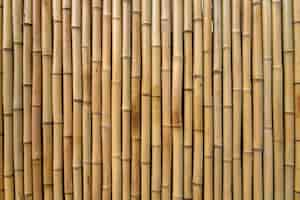 Free photo bamboo texture