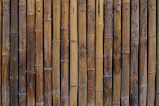 Bamboo wall house