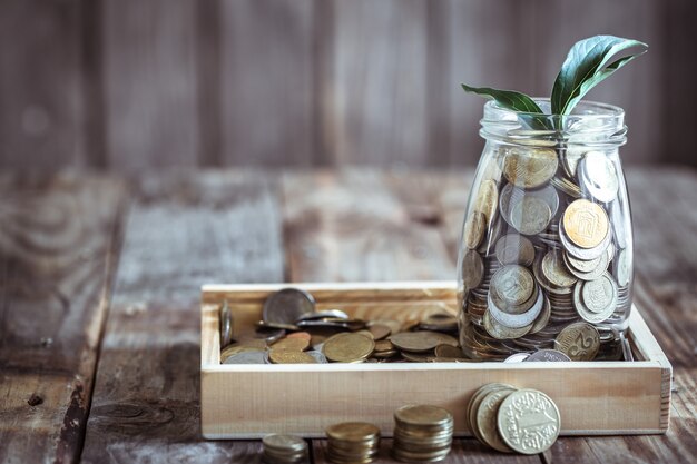 bank with coins and green sprout