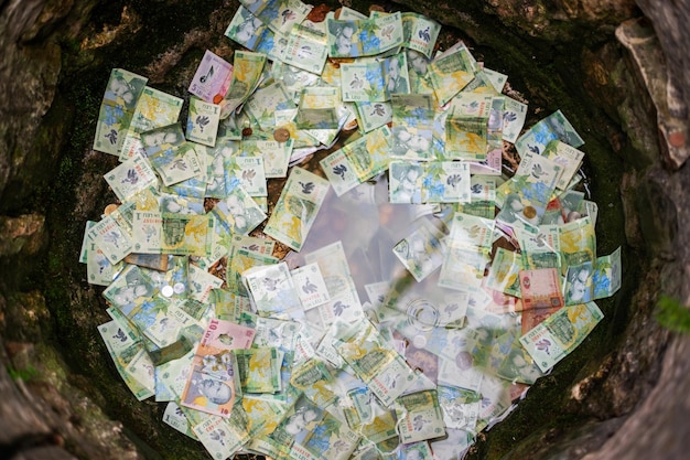 Free photo banknotes at the bottom of the well in bran castle romania
