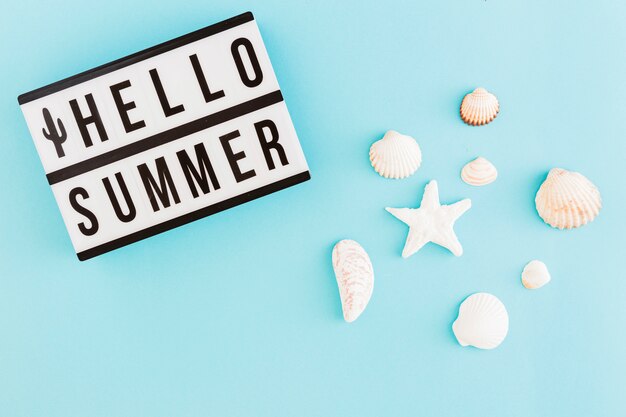 Banner with summer text and shells on light background