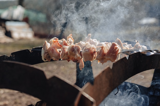 自然の中のグリルでバーベキュー。火で調理。揚げ肉と食べ物。