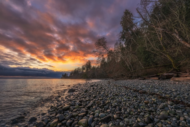 Bare Trees Near Body of Water during Sunset