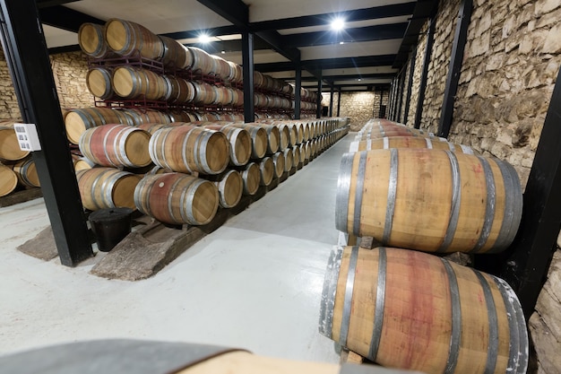 barrels in contemporary winery