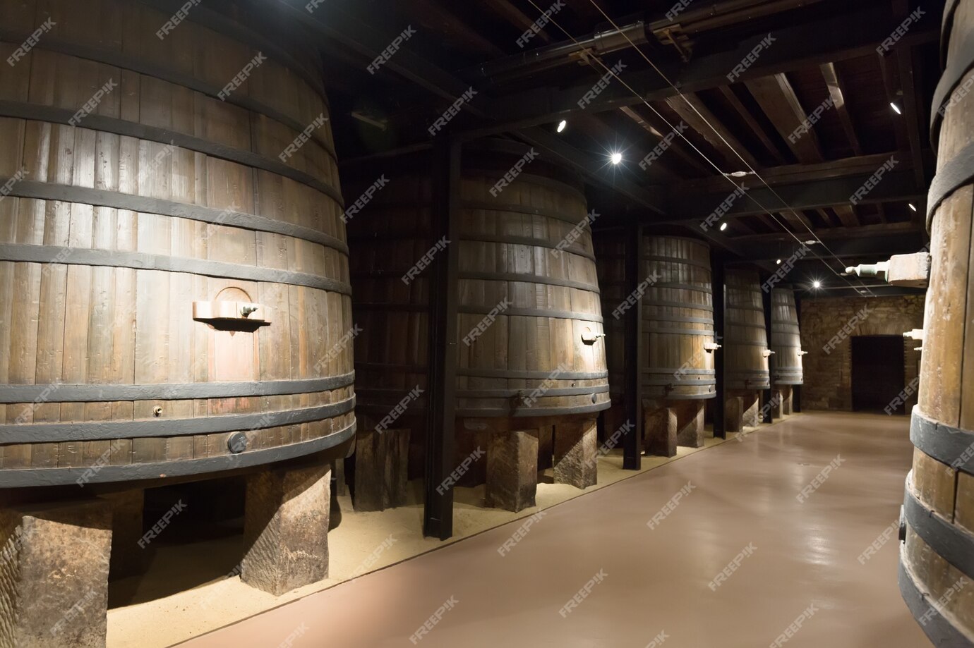 Hofkeller in Würzburg, One of the Oldest Wineries in the World