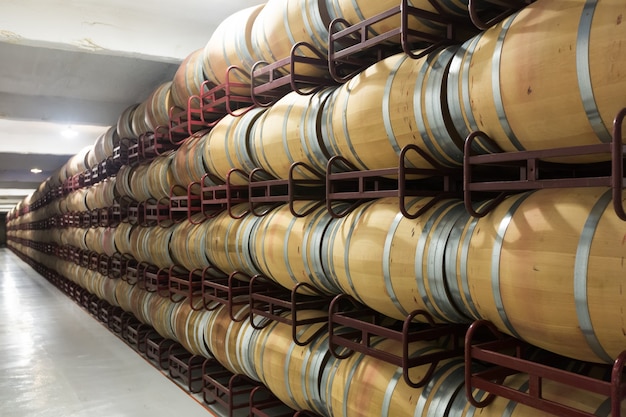 barrels in wine cellar