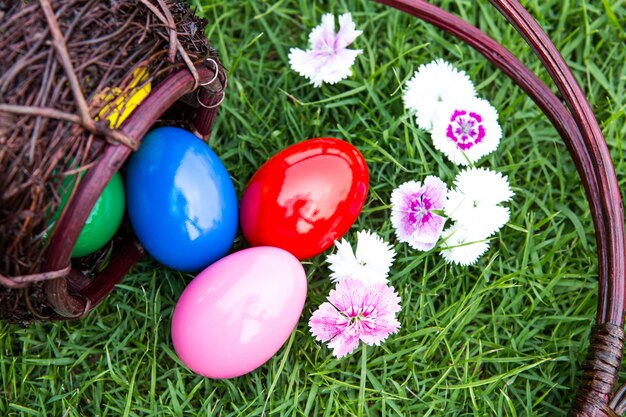 Basket of easter eggs on green grass