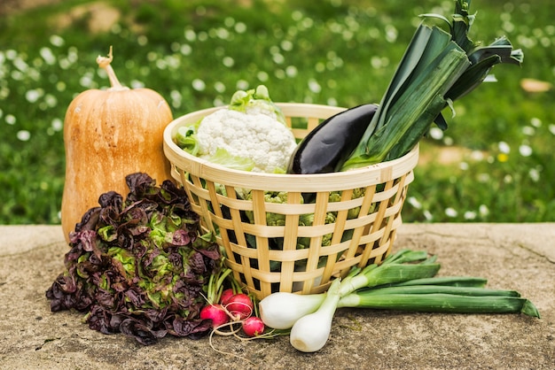 庭の健康な熟した野菜のバスケット