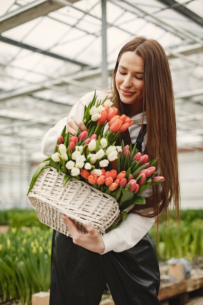 Basket of tulips. Gardener in an apron. Girl in a greenhouse.