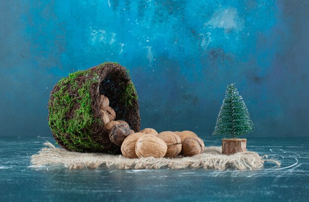 A basket with healthy walnuts and Christmas small tree on a sackcloth. High quality photo