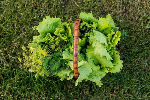 Free photo basket with lettuce above view