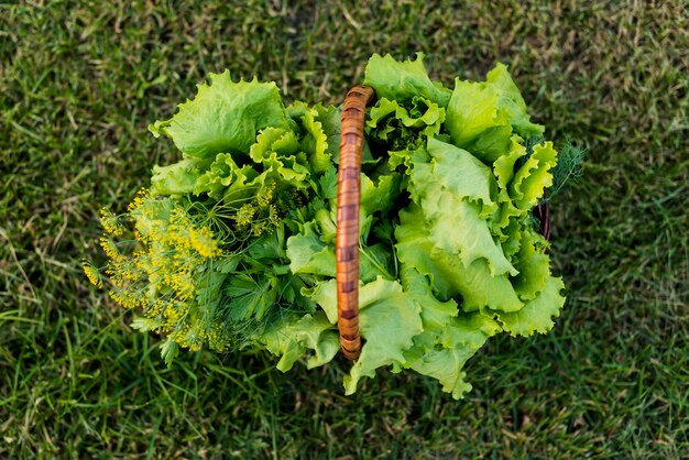 Basket with lettuce above view