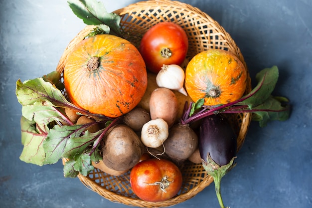 Basket with radishes tomatoes and pumpkins