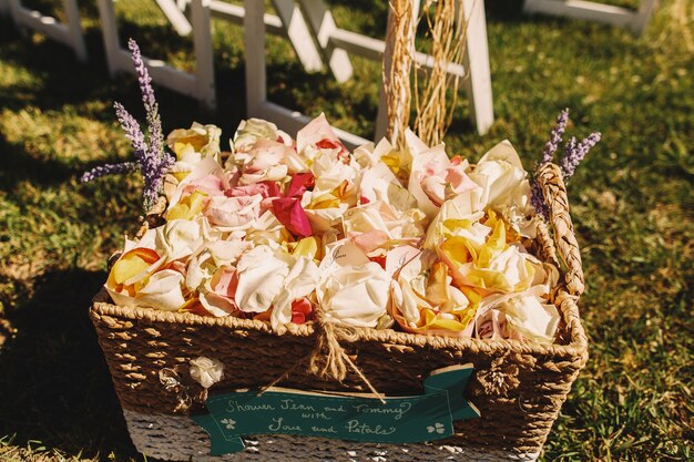 Basket with rose petals stands on the green lawn 