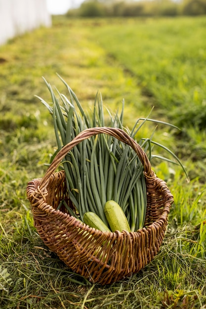 A basket with vegetables